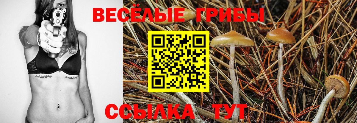 Меф МЯУ МЯУ кристаллы  COCAIN  Белово  Alpha PVP СК   Каннабис  Вход с VPN 