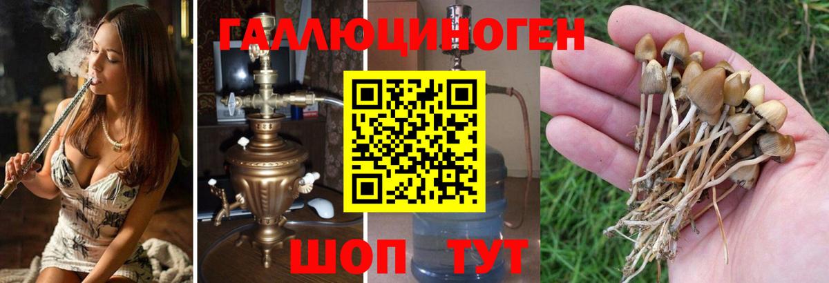 Белово  Псилоцибиновые грибы мухоморы  Вход с VPN  где найти   Галлюциногенные грибы прущие грибы 